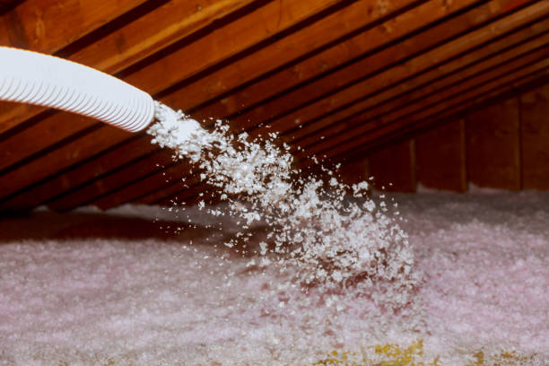 Best Energy Efficiency Solutions in Camano, WA