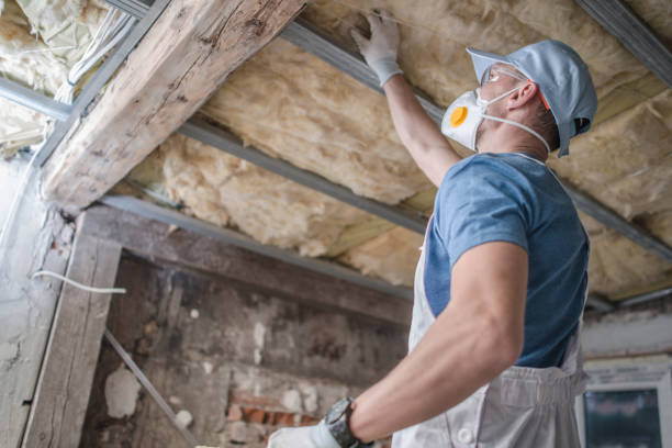 Best Types of Insulation in Camano, WA